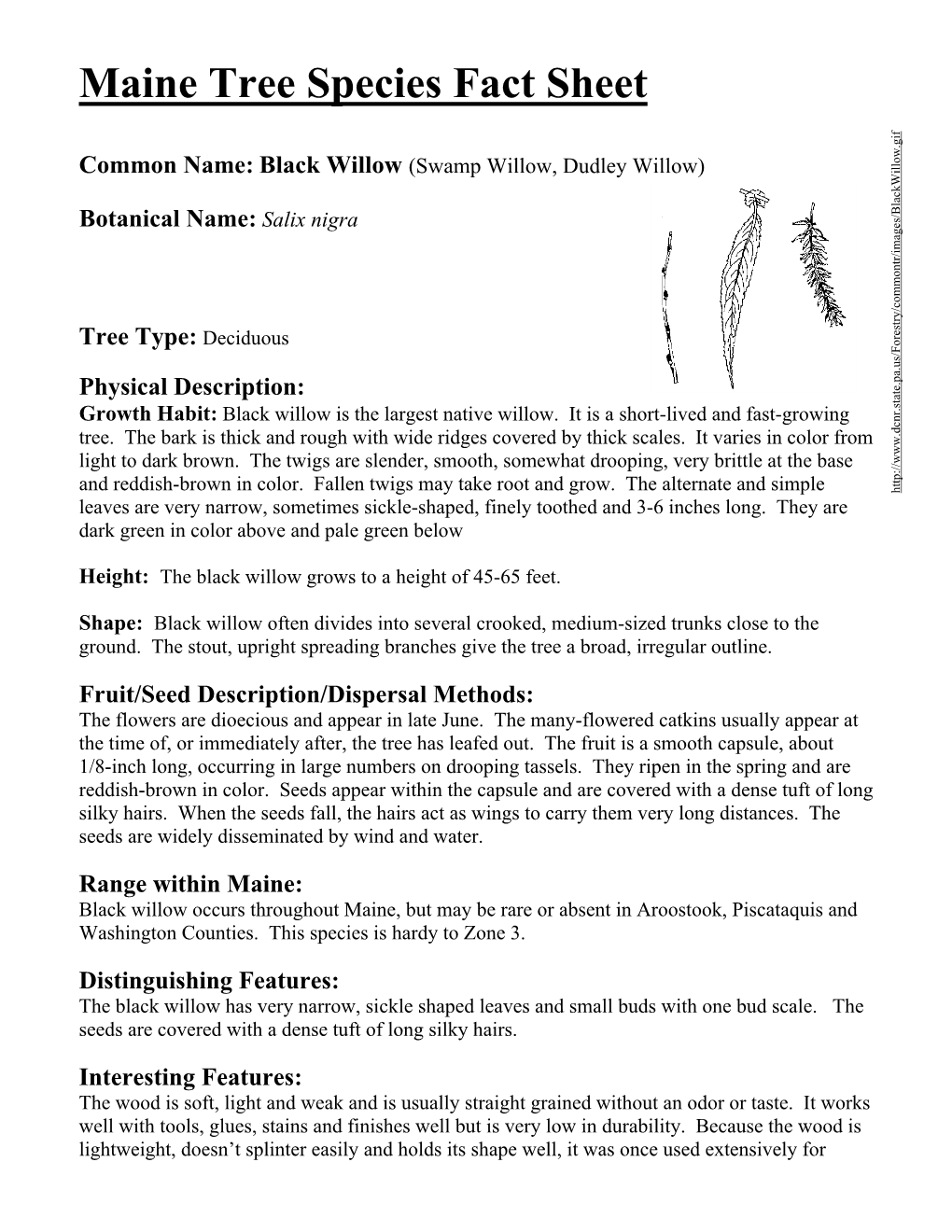 Maine Tree Species Fact Sheet