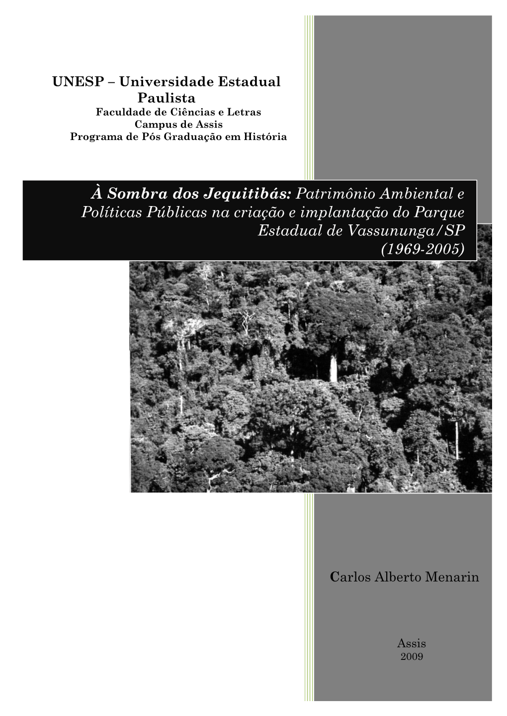 À Sombra Dos Jequitibás: Patrimônio Ambiental E Políticas Públicas Na Criação E Implantação Do Parque Estadual De Vassununga/SP (1969-2005)