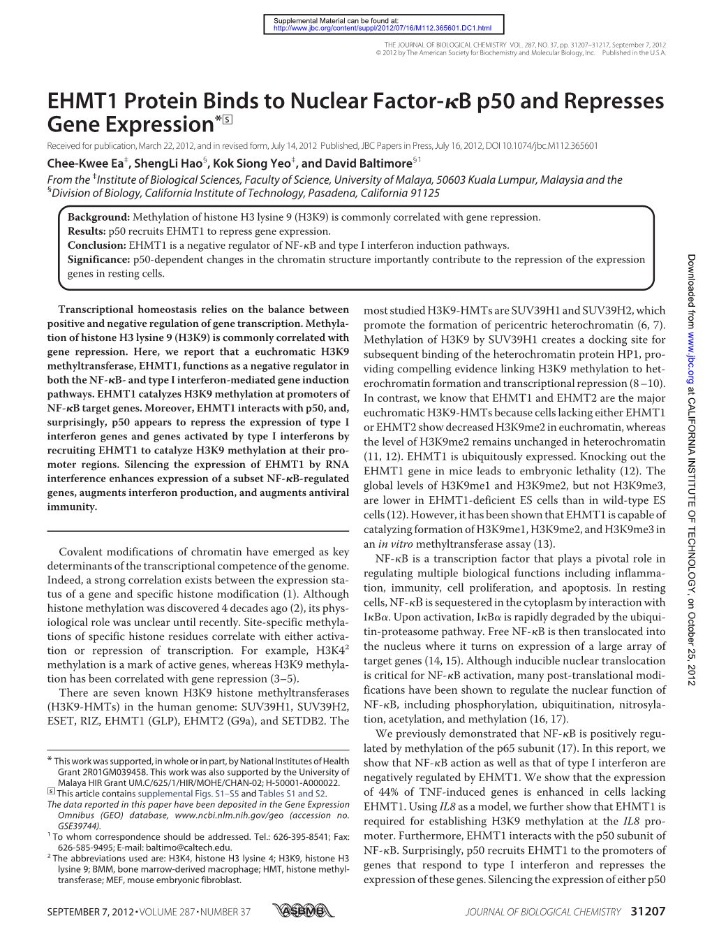 B P50 and Represses Gene Expression* S