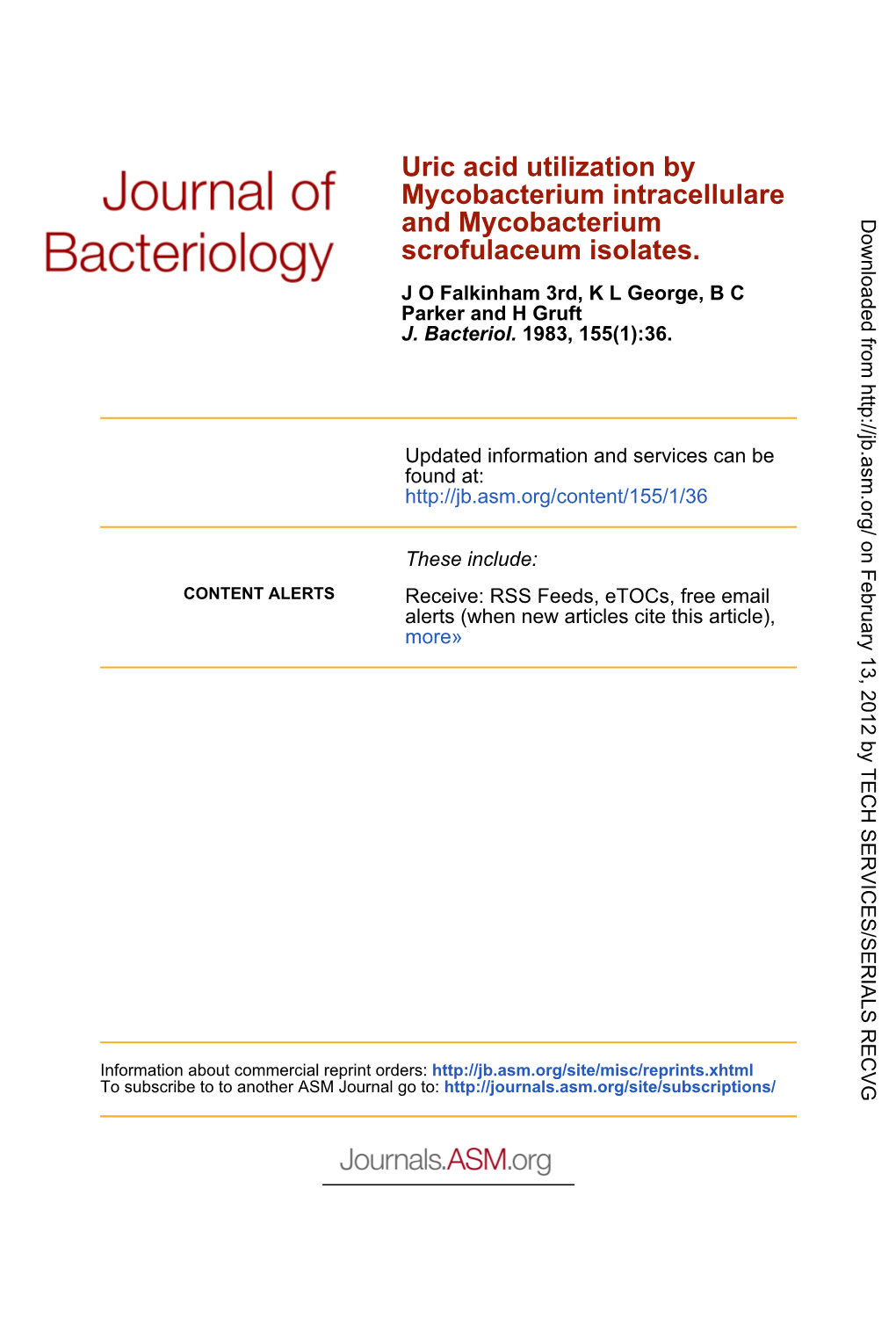 Scrofulaceum Isolates. and Mycobacterium Mycobacterium