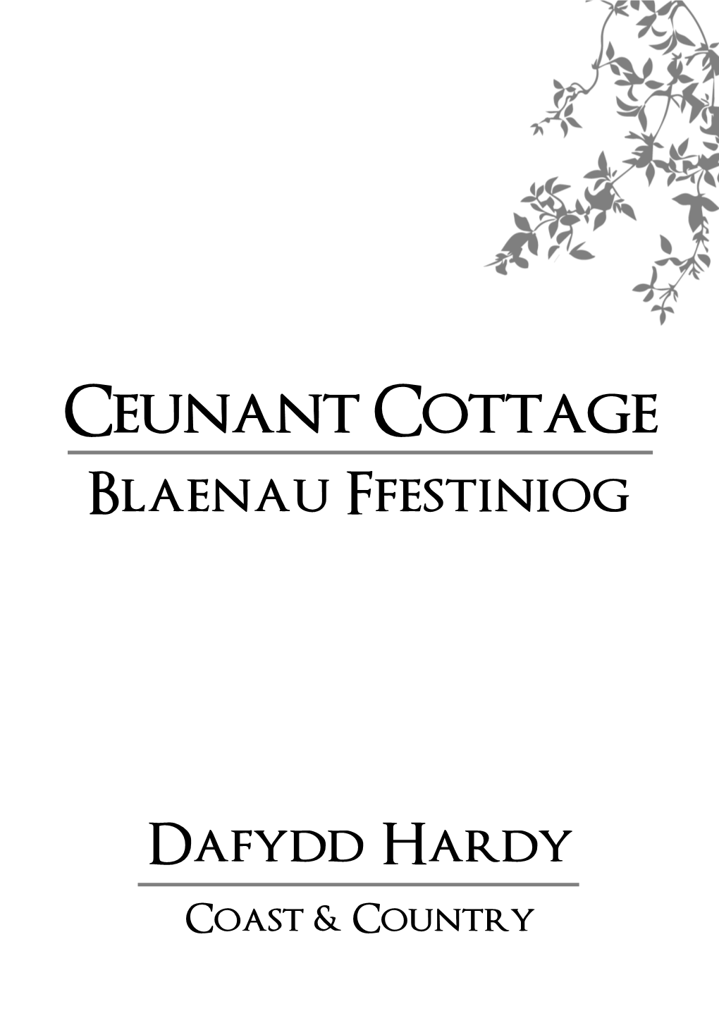 Ceunant Cottage Blaenau Ffestiniog