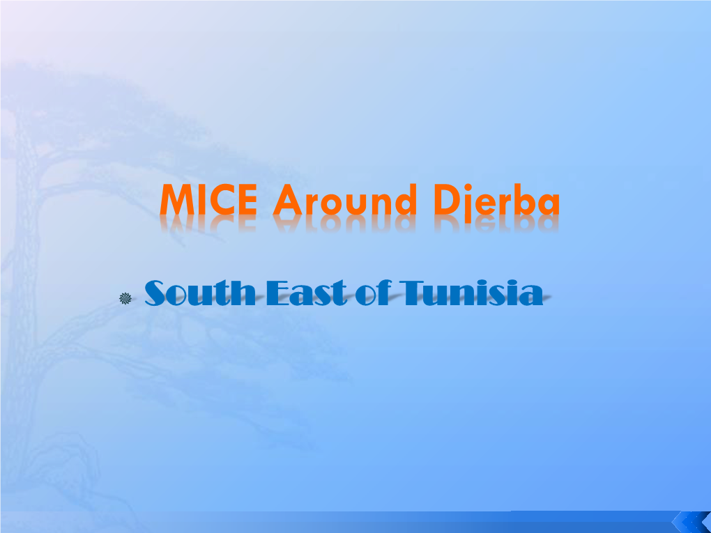 MICE Around Djerba
