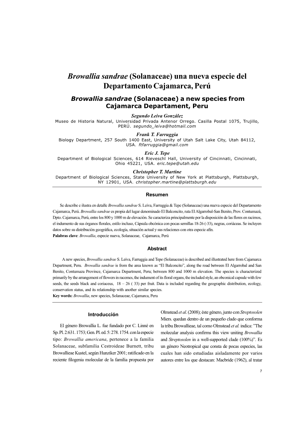 Browallia Sandrae