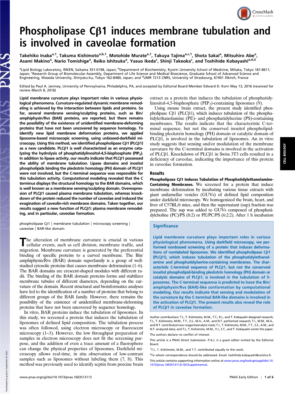 Phospholipase Cβ1 Induces Membrane Tubulation and Is Involved in Caveolae Formation