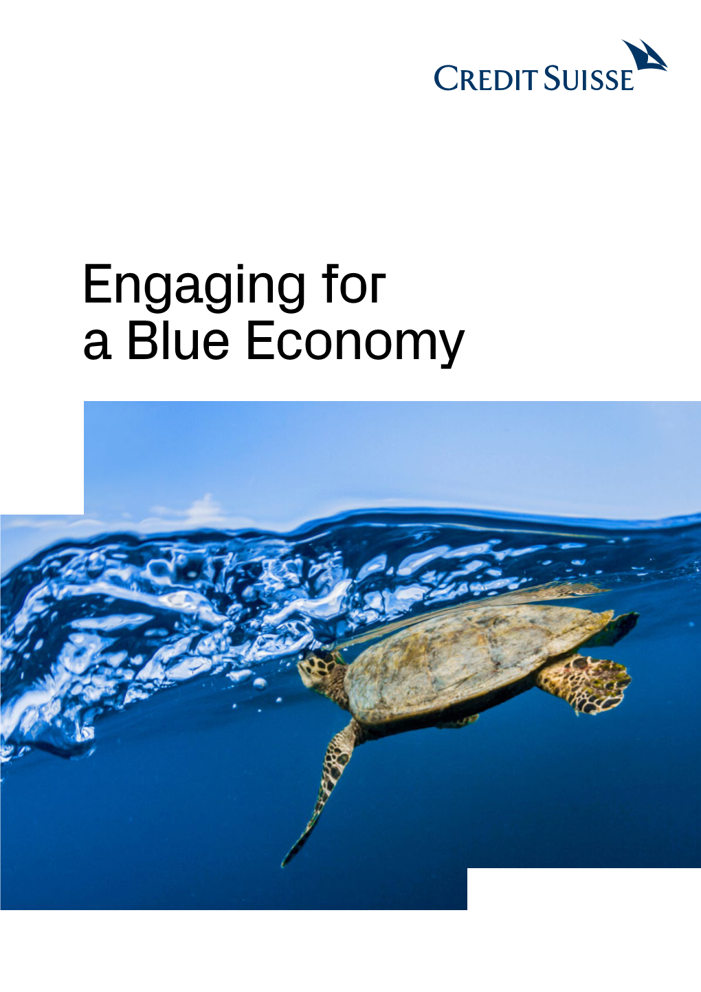 Engaging for a Blue Economy 2 Table of Contents Engaging for a Blue Economy