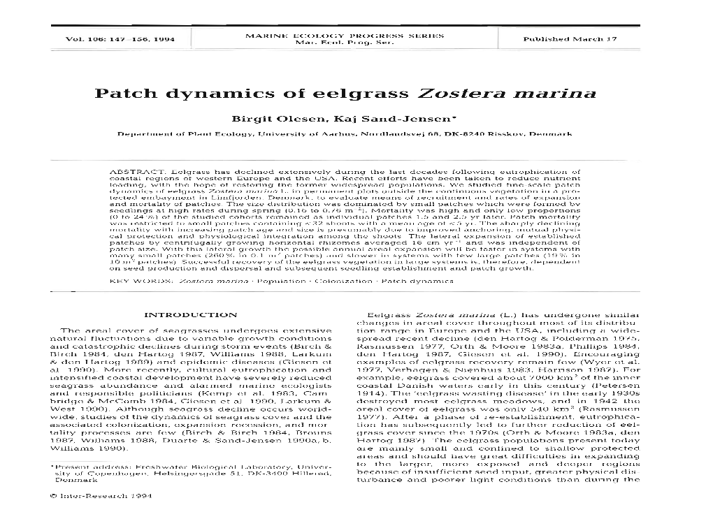 Patch Dynamics of Eelgrass Zostera Marina