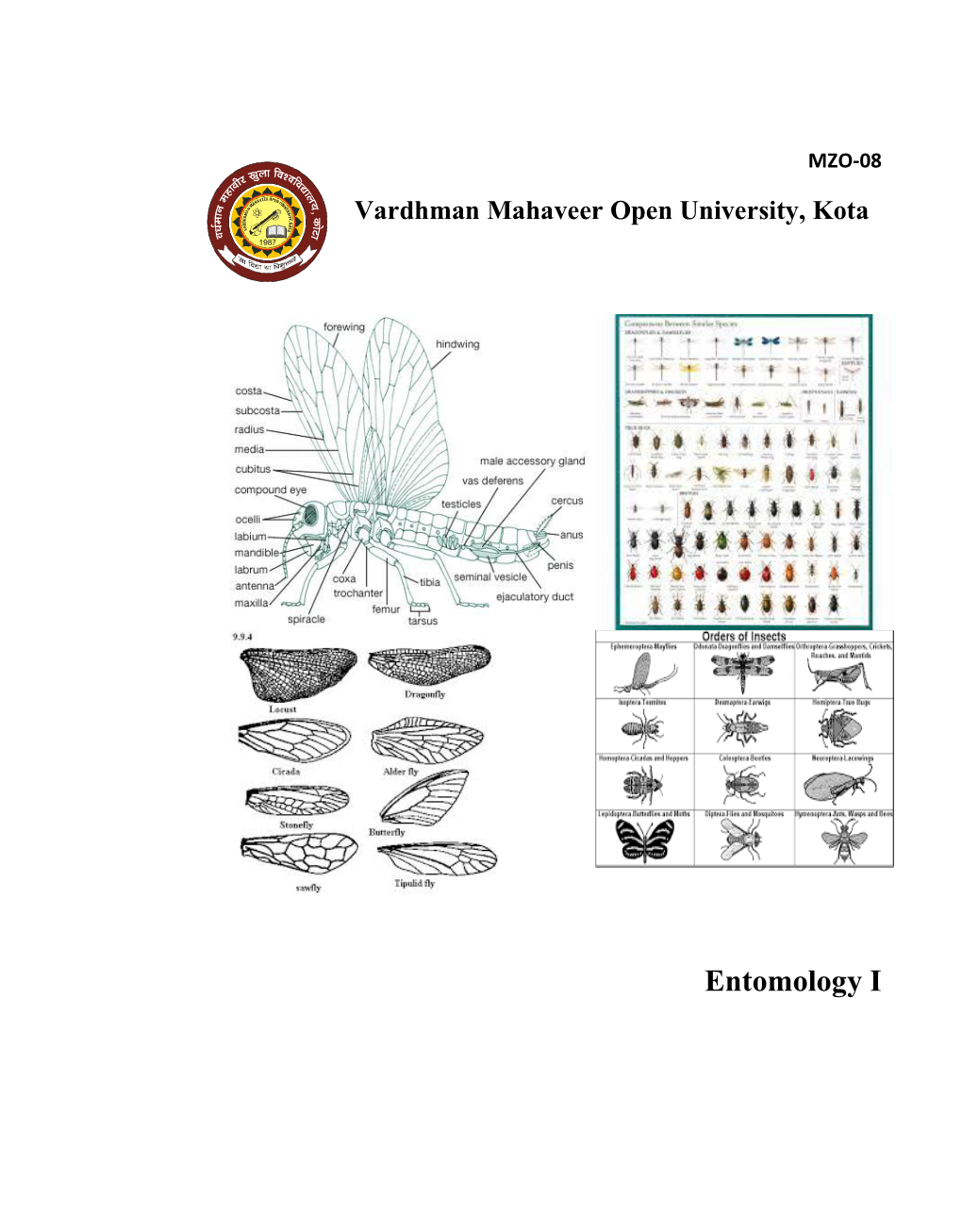 Entomology I