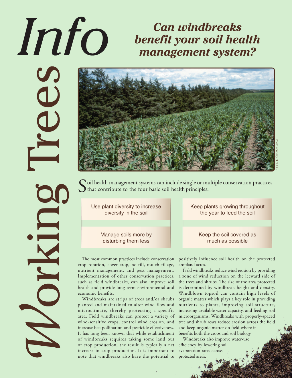 Can Windbreaks Benefit Your Soil Health Management System?