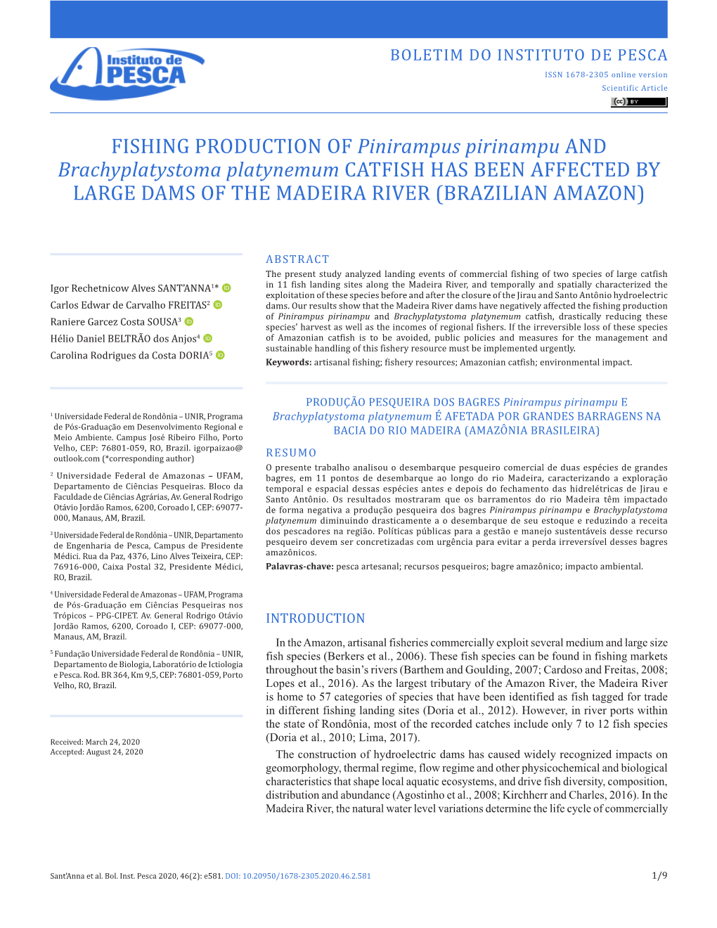 FISHING PRODUCTION of Pinirampus Pirinampu and Brachyplatystoma Platynemum CATFISH HAS BEEN AFFECTED by LARGE DAMS of the MADEIRA RIVER (BRAZILIAN AMAZON)