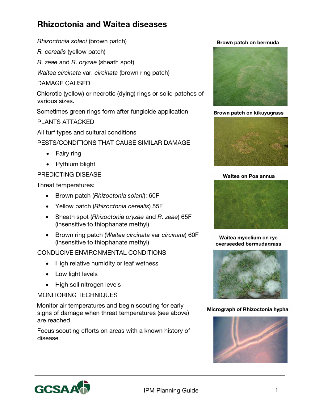 Rhizoctonia and Waitea Diseases