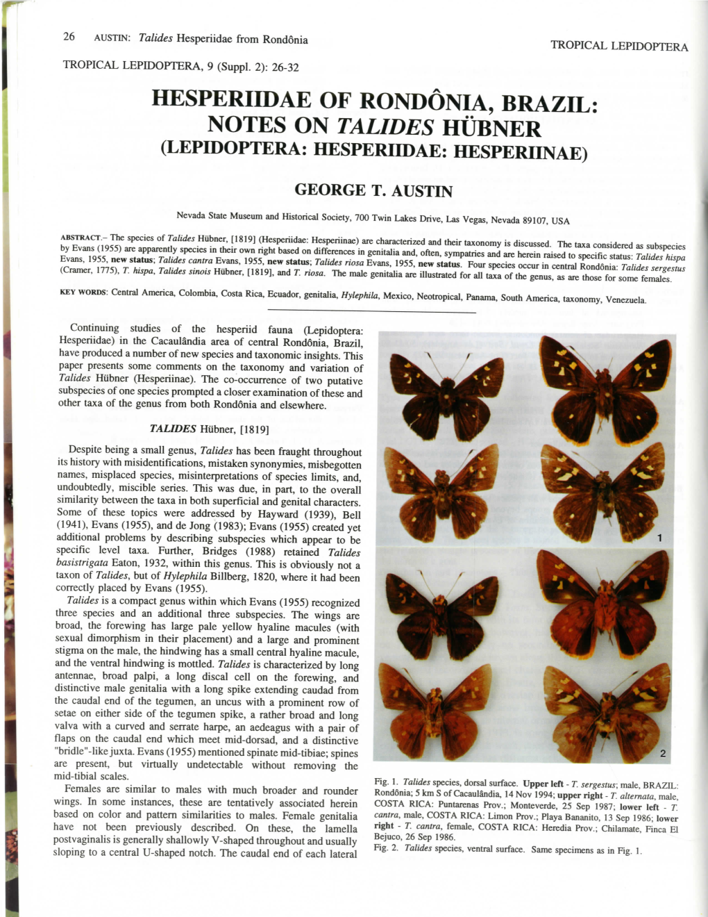 Hesperiidae of Rondonia, Brazil: Notes on Talides Hubner (Lepidoptera: Hesperiidae: Hesperiinae)