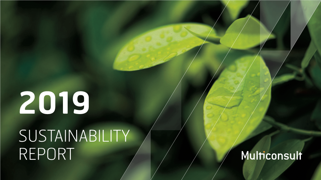 Sustainability Report 2019