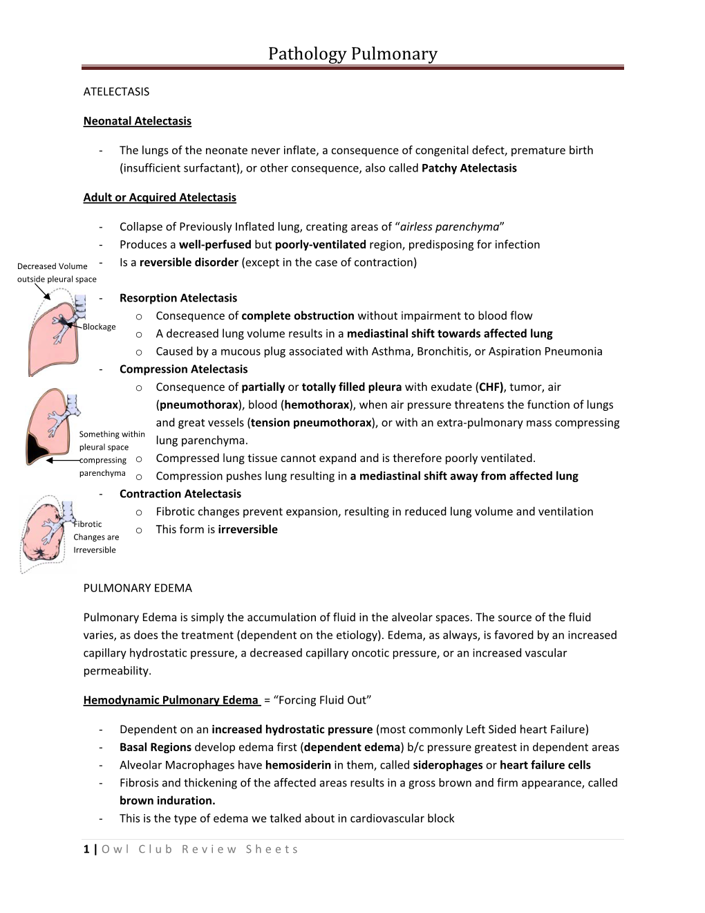 Path Pulmonary Outline