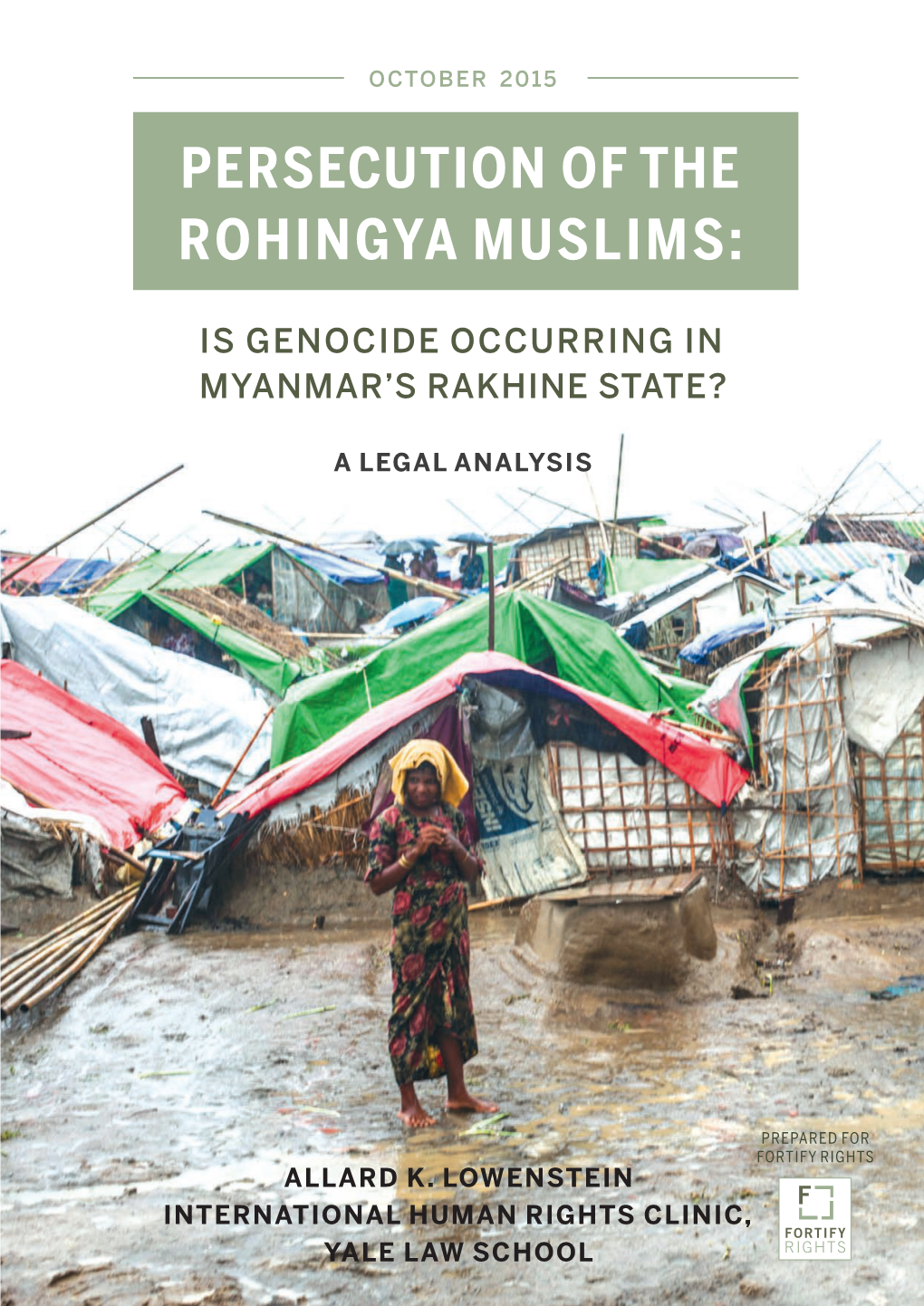 Persecution of the Rohingya Muslims