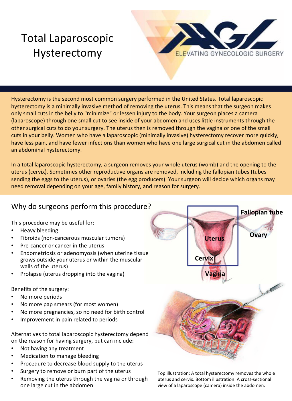 Total Laparoscopic Hysterectomy