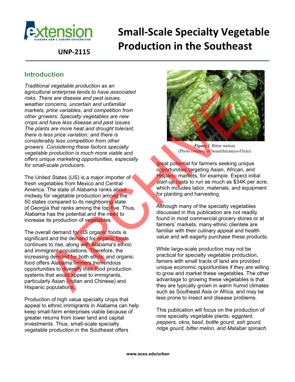 Small-Scale Specialty Vegetable Production in the Southeast