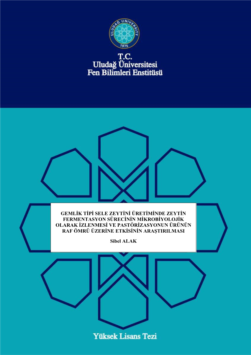 Gemlik Tipi Sele Zeytini Üretiminde Zeytin Fermentasyon Sürecinin Mikrobiyolojik Olarak Izlenmesi Ve Pastörizasyonun Ürünün Raf Ömrü Üzerine Etkisinin Araştirilmasi