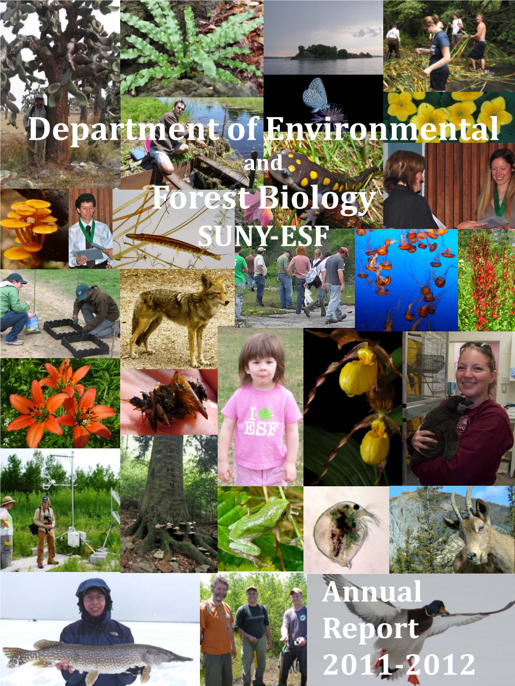 Department of Environmental and Forest Biology SUNY-ESF