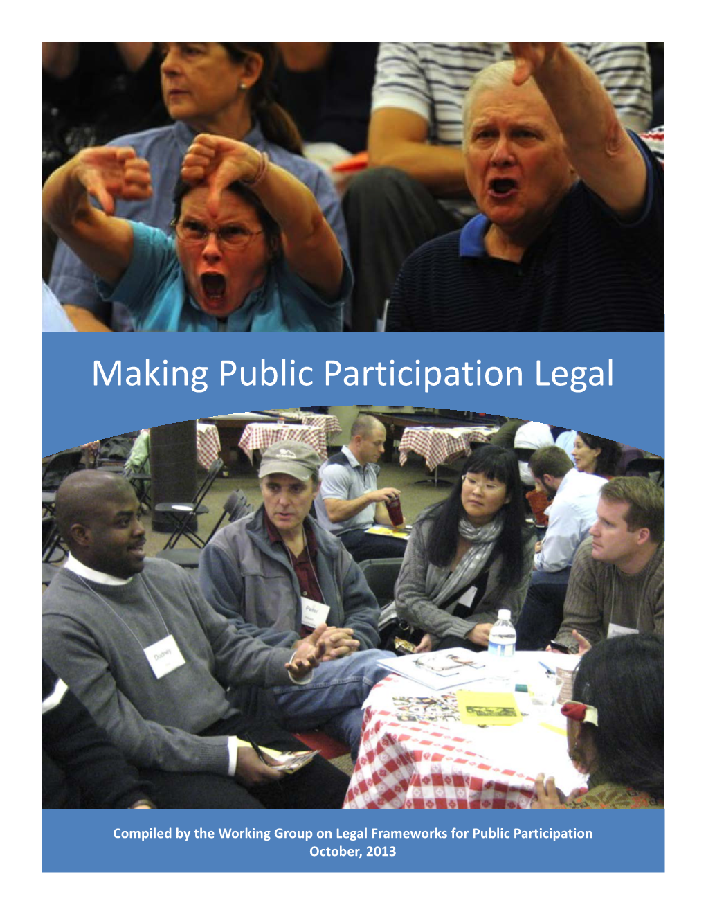 Making Public Participation Legal