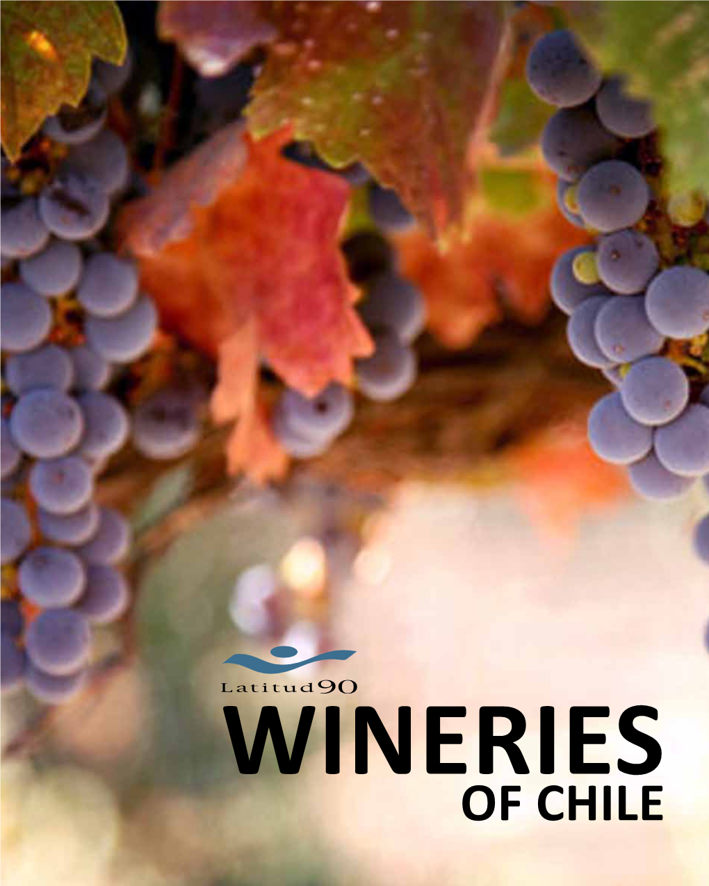 WINERIES of CHILE Chile Is Nowadays Recognized Internationally As a Major Producer and Exporter of Wine