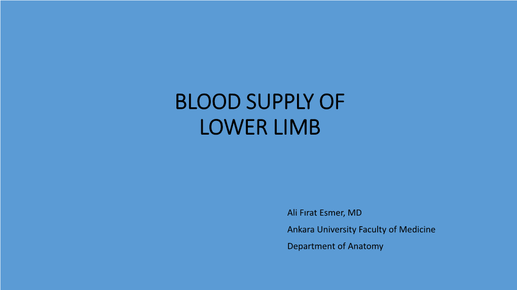 Arteries of the Lower Limb