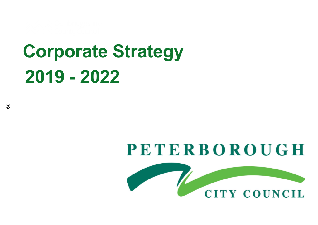 Corporate Strategy 2019-2021