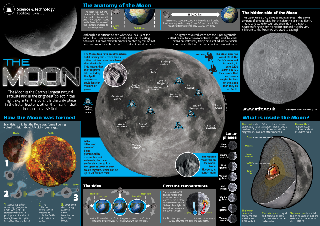 The Anatomy of the Moon