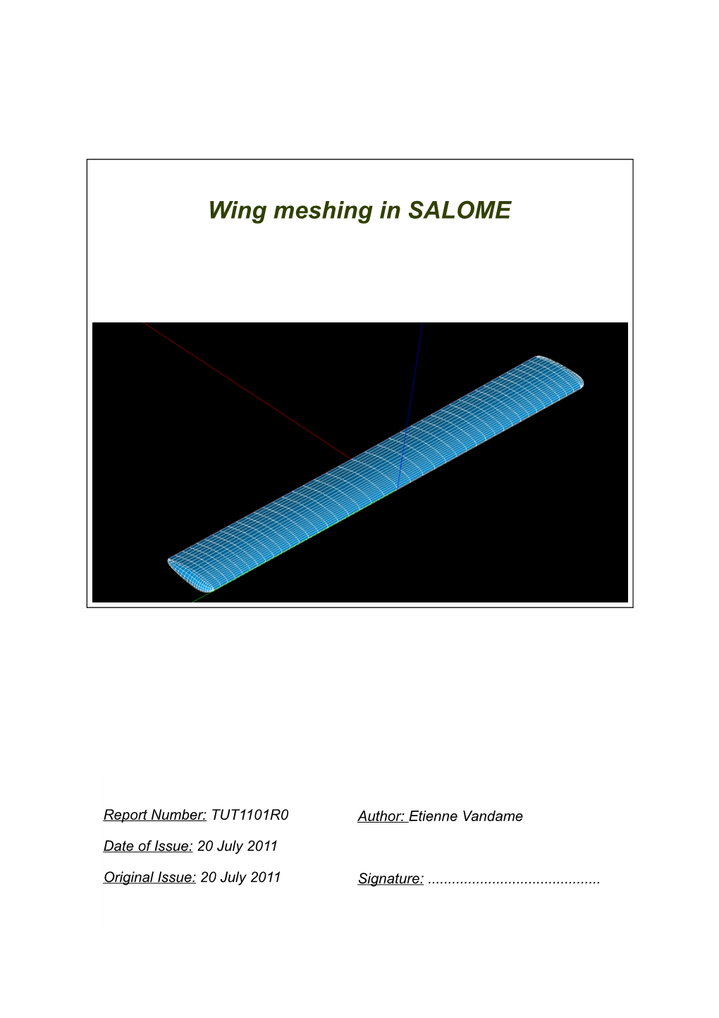 Wing Meshing in SALOME