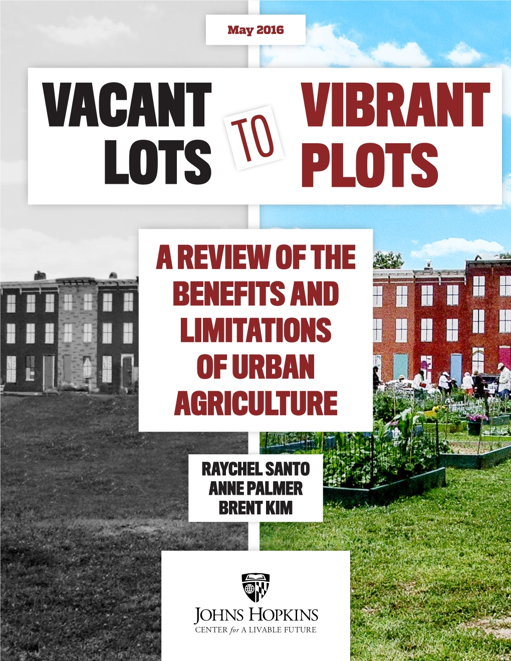 Vacant Lots to Vibrant Plots