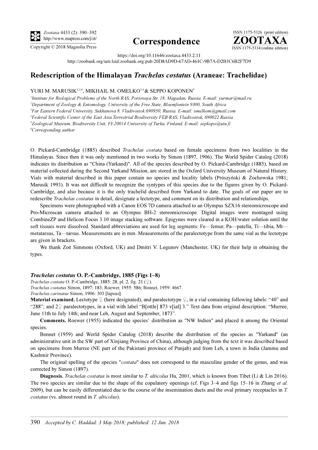 Redescription of the Himalayan Trachelas Costatus (Araneae: Trachelidae)