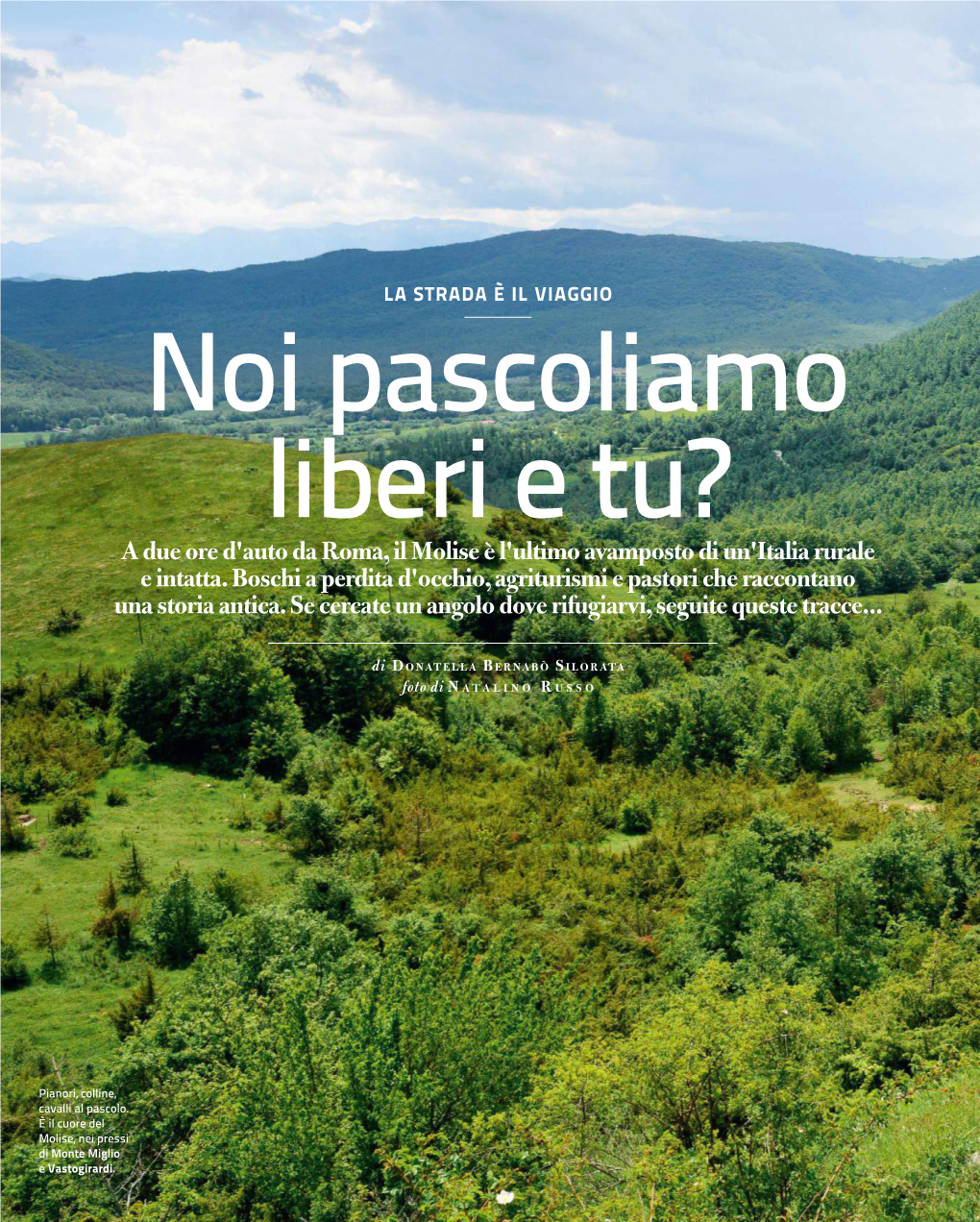 Noi Pascoliamo Liberi E Tu? a Due Ore D'auto Da Roma, Il Molise È L'ultimo Avamposto Di Un'italia Rurale E Intatta