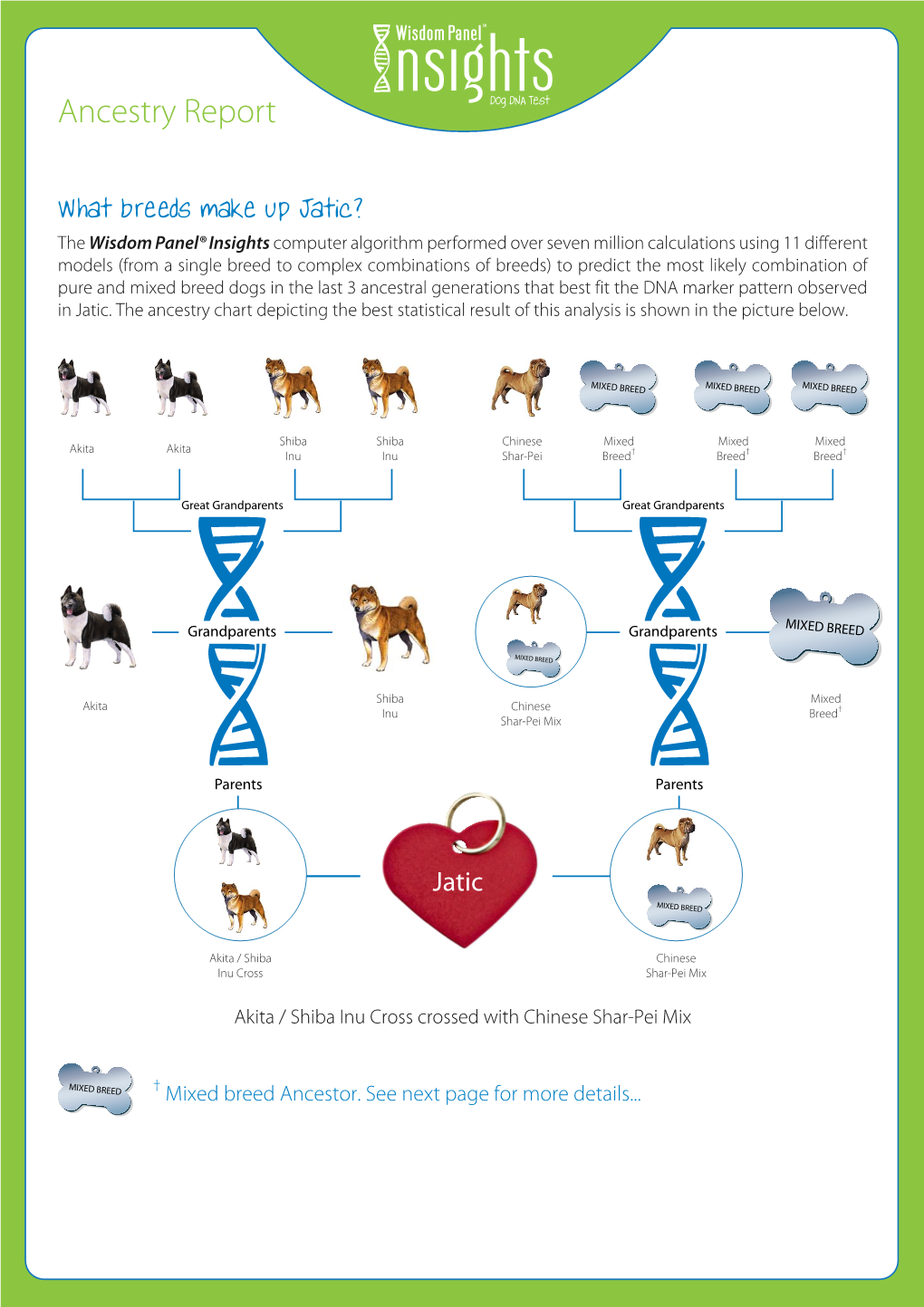 Ancestry Report