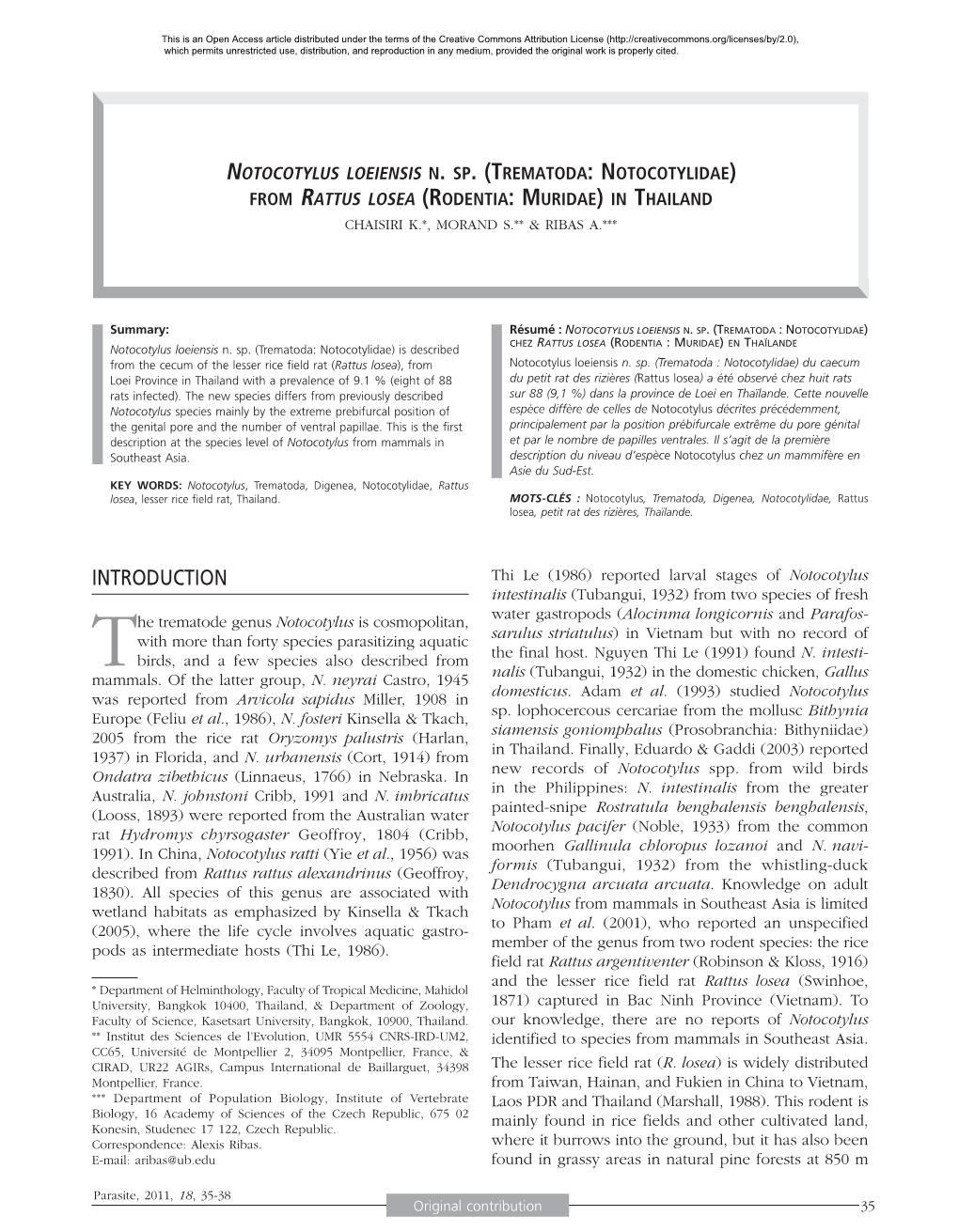 Notocotylus Loeiensis N. Sp. \(Trematoda: Notocotylidae\) From