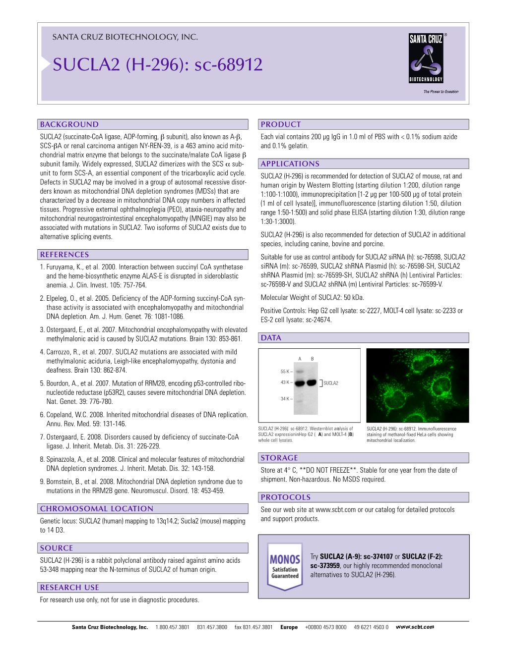 Datasheet Blank Template