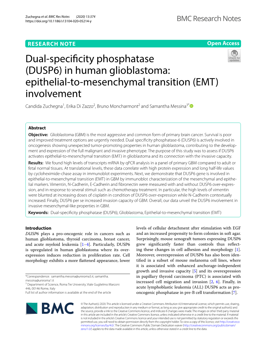 Dual-Specificity Phosphatase (DUSP6)
