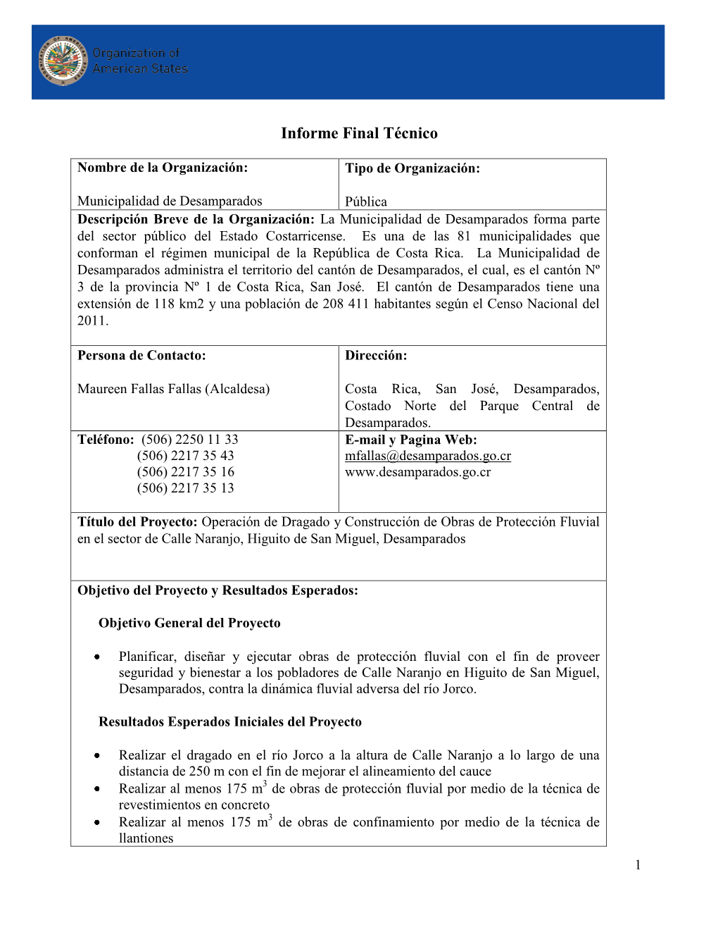 Technical and Financial Project Proposal Template