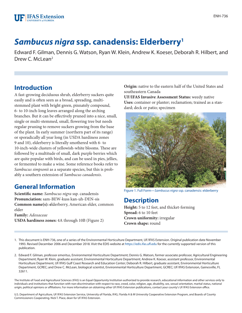 Sambucus Nigra Ssp. Canadensis: Elderberry1 Edward F