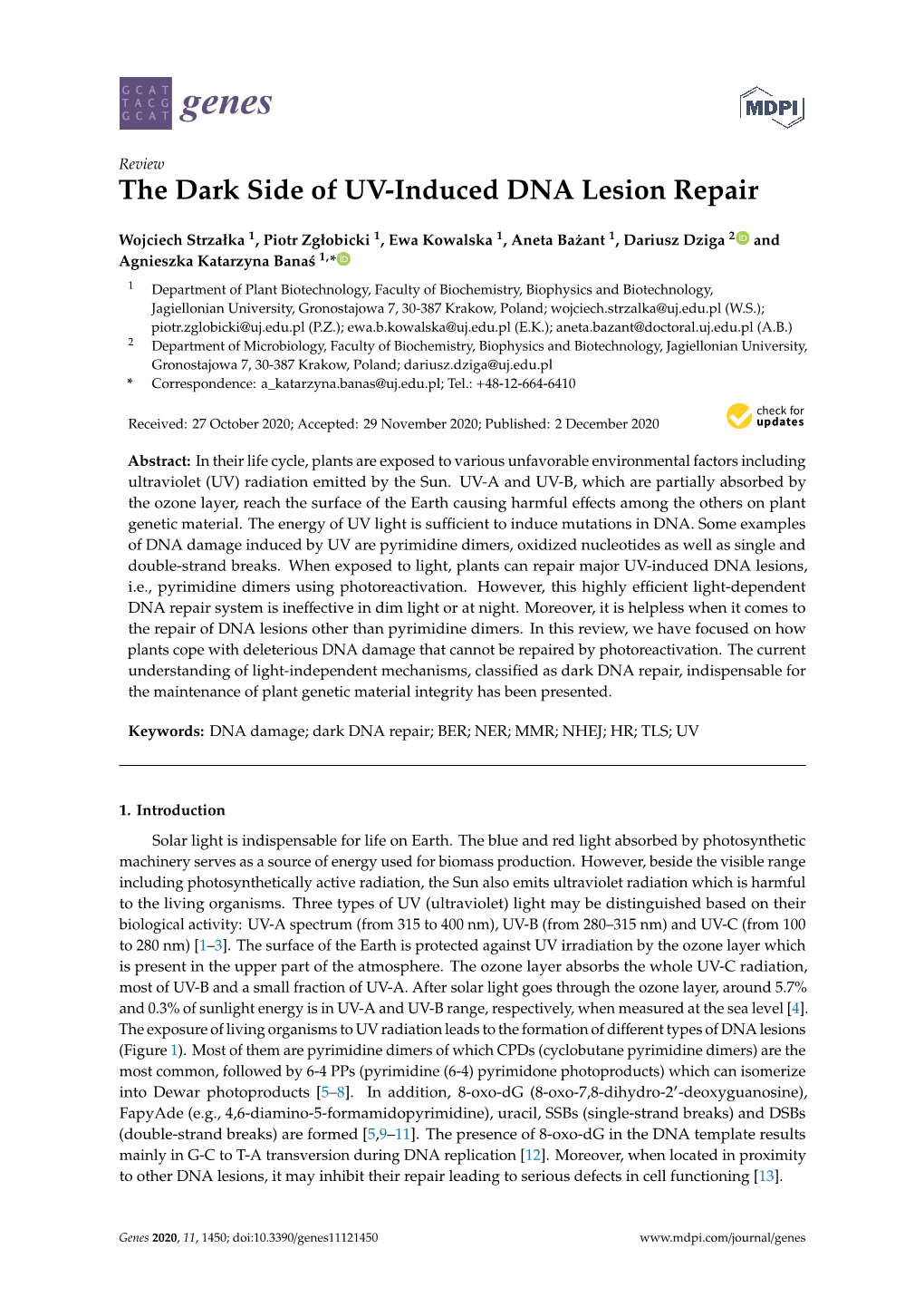 The Dark Side of UV-Induced DNA Lesion Repair