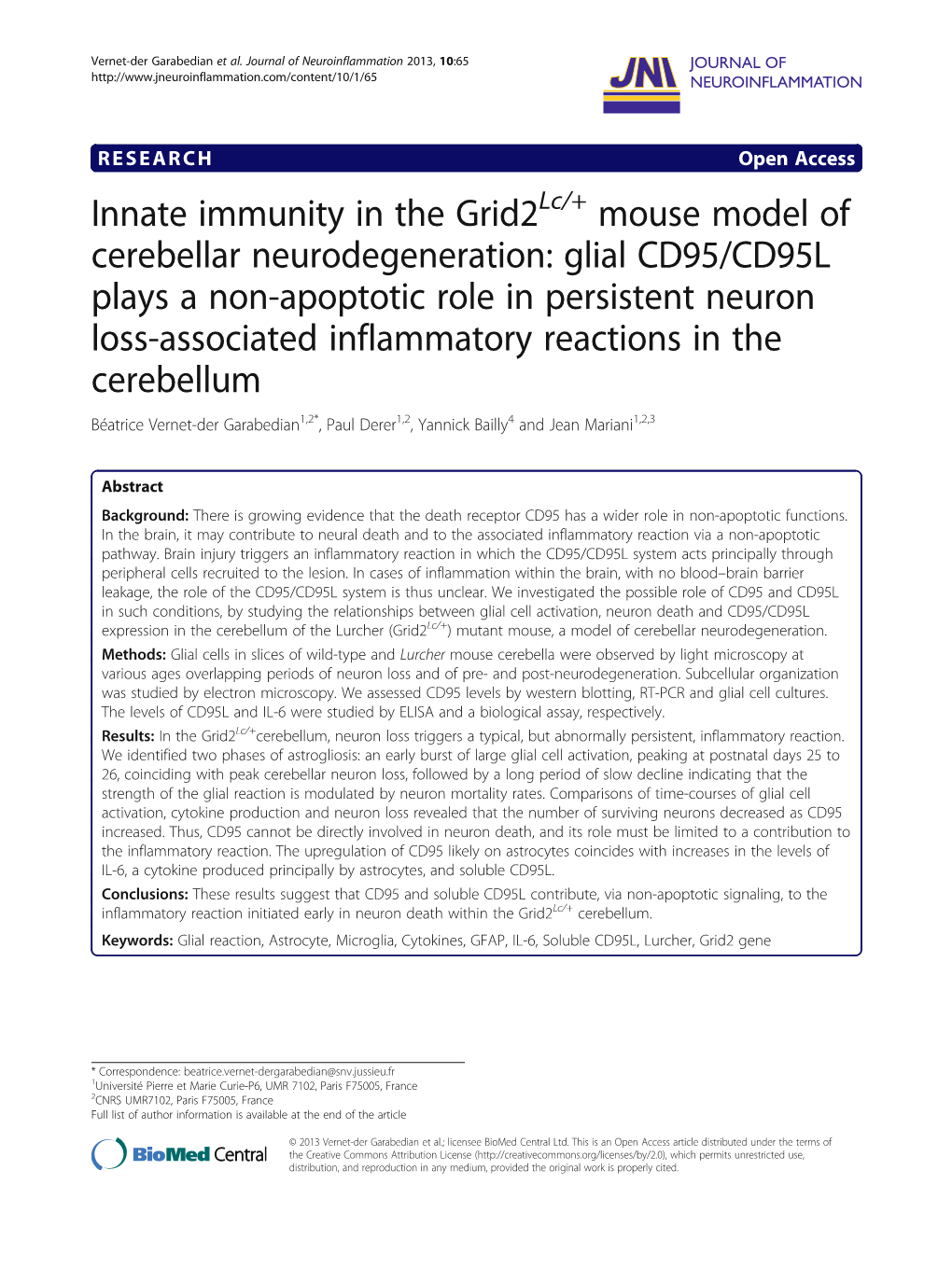 Innate Immunity in the Grid2 Mouse Model Of