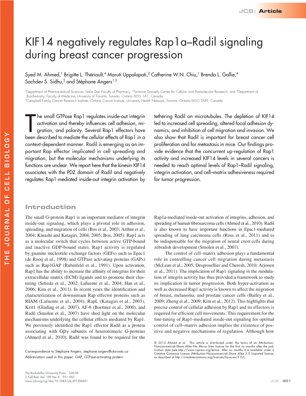 KIF14 Negatively Regulates Rap1a–Radil Signaling During Breast Cancer Progression