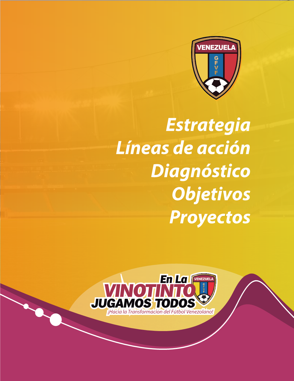 Proyecto Gran Federación Venezolana De Fútbol