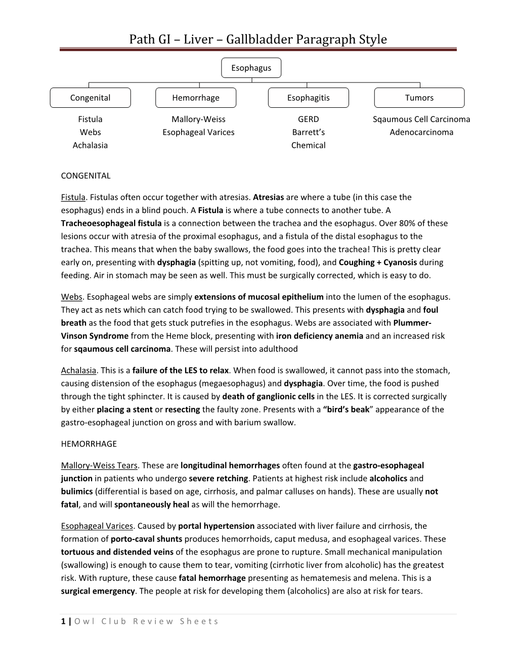 Path GI – Liver – Gallbladder Paragraph Style