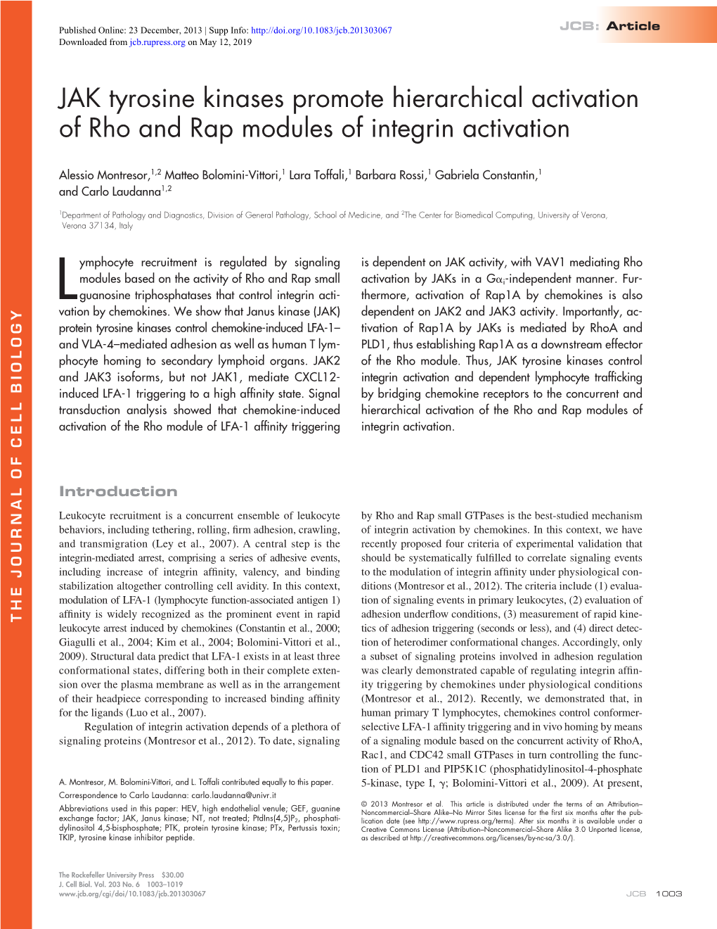 JAK Tyrosine Kinases Promote Hierarchical Activation of Rho and Rap Modules of Integrin Activation