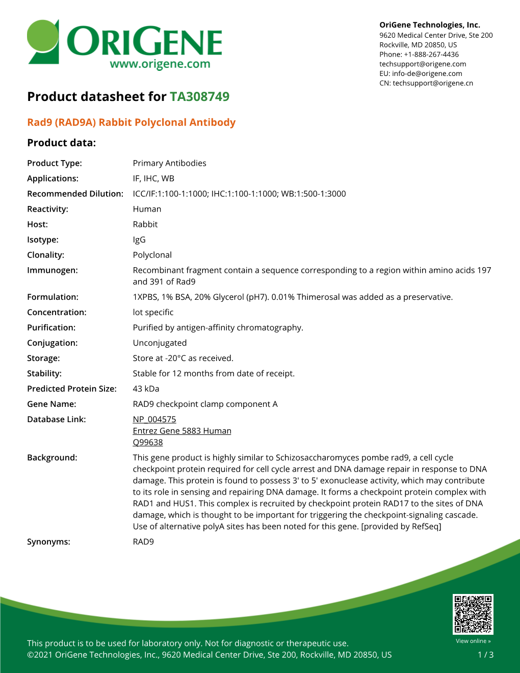 Rad9 (RAD9A) Rabbit Polyclonal Antibody – TA308749 | Origene