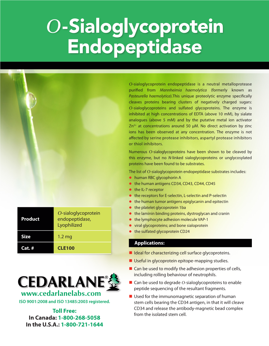 Ο-Sialoglycoprotein Endopeptidase