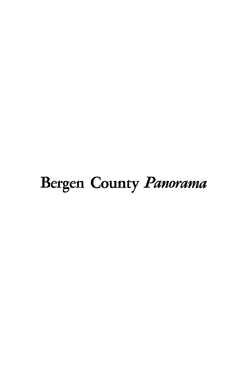 Bergen County Panorama