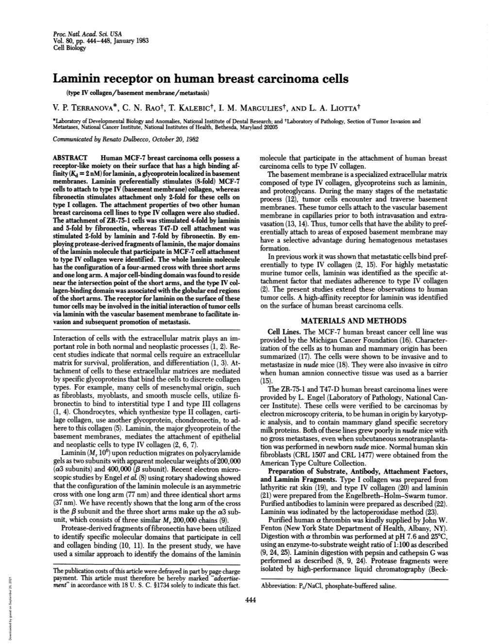 Laminin Receptor on Human Breast Carcinoma Cells (Type IV Collagen/Basement Membrane/Metastasis) V