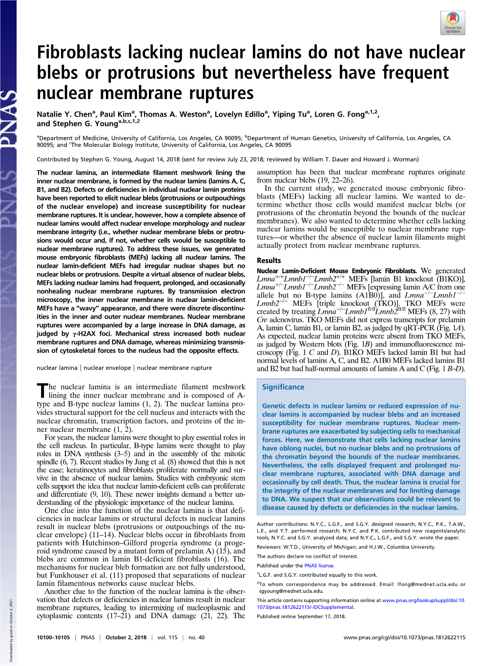 Fibroblasts Lacking Nuclear Lamins Do Not Have Nuclear Blebs Or Protrusions but Nevertheless Have Frequent Nuclear Membrane Ruptures