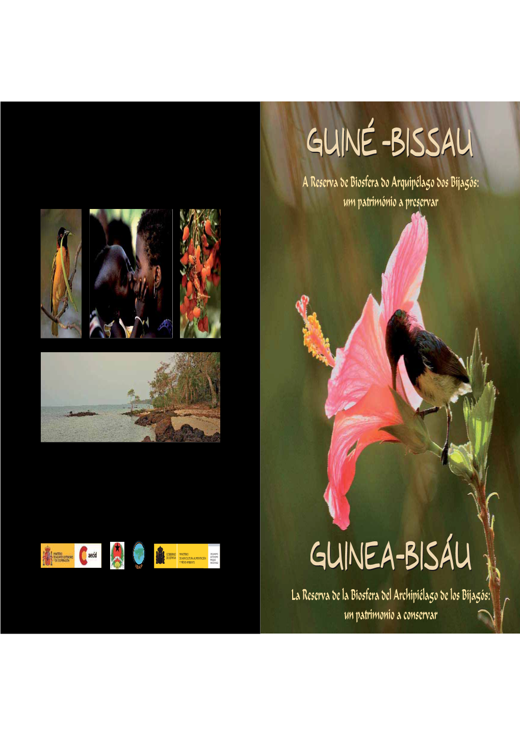 Libro Guinea Bissau Cuadrado Grande