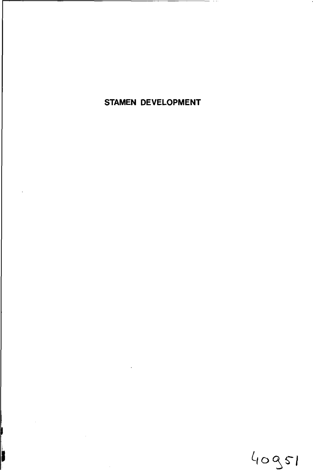 Stamen Development